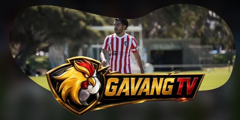 Gợi ý chốt kèo tổng hợp trận AD Cariari Pococi vs Pitbulls ngày 04/09