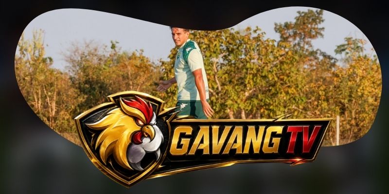 Gợi ý chốt kèo tổng hợp trận Cuiaba vs Nautico (PE) ngày 22/09