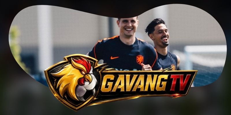 Hà Lan tìm khoảng trống phía sau hai hành lang của Đức