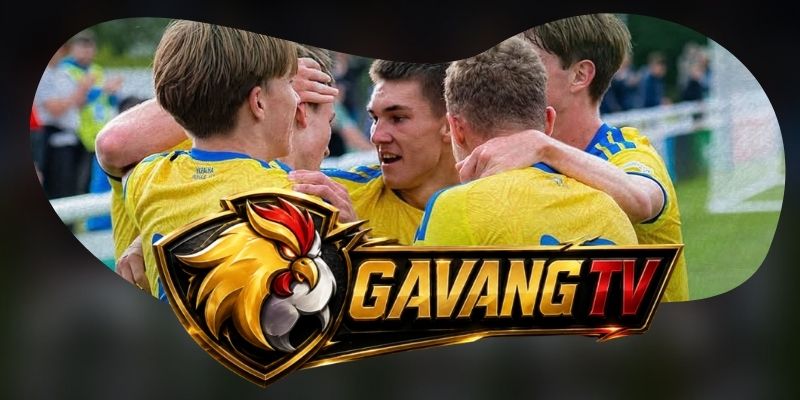 Gợi ý chốt kèo tổng hợp trận Hungary vs Ukraine ngày 26/09